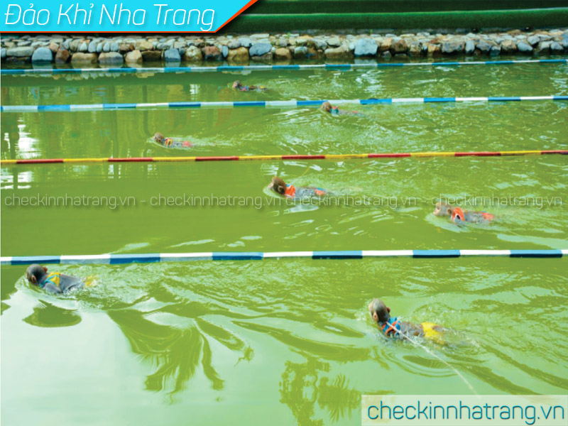 Khỉ thi bơi Nha Trang